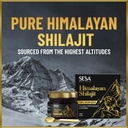 sesa-himalayan-shilajit-original-30-g-sh-71L4NgoaQdL.jpg