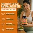 guggul-extract-500mg-suddha-medohar-gugg-71iZ+cA1LQL.jpg