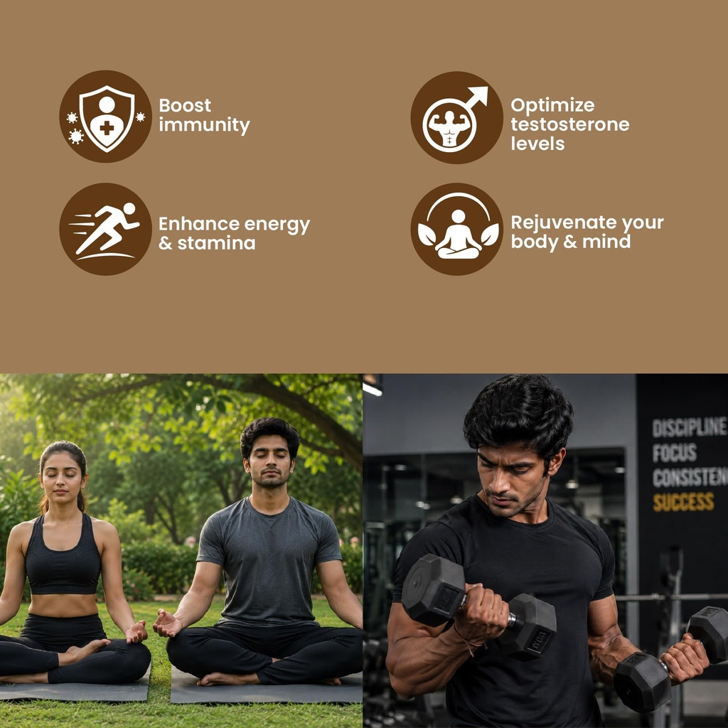 shilajit-bhasma-pro-pure-himalayan-shila-71OcrXTGtUL.jpg
