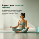 house-of-wellness-unlock-shilajit-gummie-61PLe9U6v+L.jpg