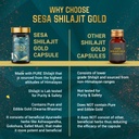 sesa-shilajit-gold-60-capsules-with-60-f-71wL+SxUCNL.jpg