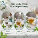 organic-wellness-certified-tulsi-brahmi--61RLKX7OJ-L.jpg