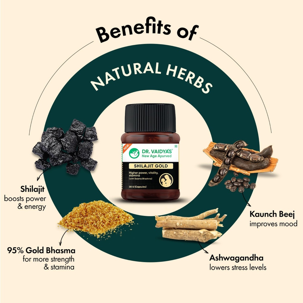 dr-vaidya-s-shilajit-gold-capsules-for-m-71zipd8RxYL.jpg