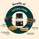 dr-vaidya-s-shilajit-gold-capsules-for-m-71zipd8RxYL.jpg