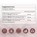 purely-yours-shilajit-shilajeet-capsules-81H0119A3pL.jpg