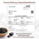 purely-yours-shilajit-shilajeet-capsules-71IZQXaVC8L.jpg