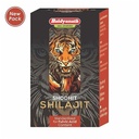 baidyanath-asli-ayurved-shilajit-30-caps-71UL8vO8itL.jpg