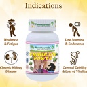 planet-ayurveda-tribulus-power-herbal-su-71NMxjbpWXL.jpg