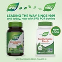 nature-s-way-goldenseal-herb-capsules-40-71GdUe1+DaL.jpg