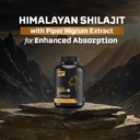 beastlife-himalayan-shilajit-pure-potent-61It6aqZHGL.jpg