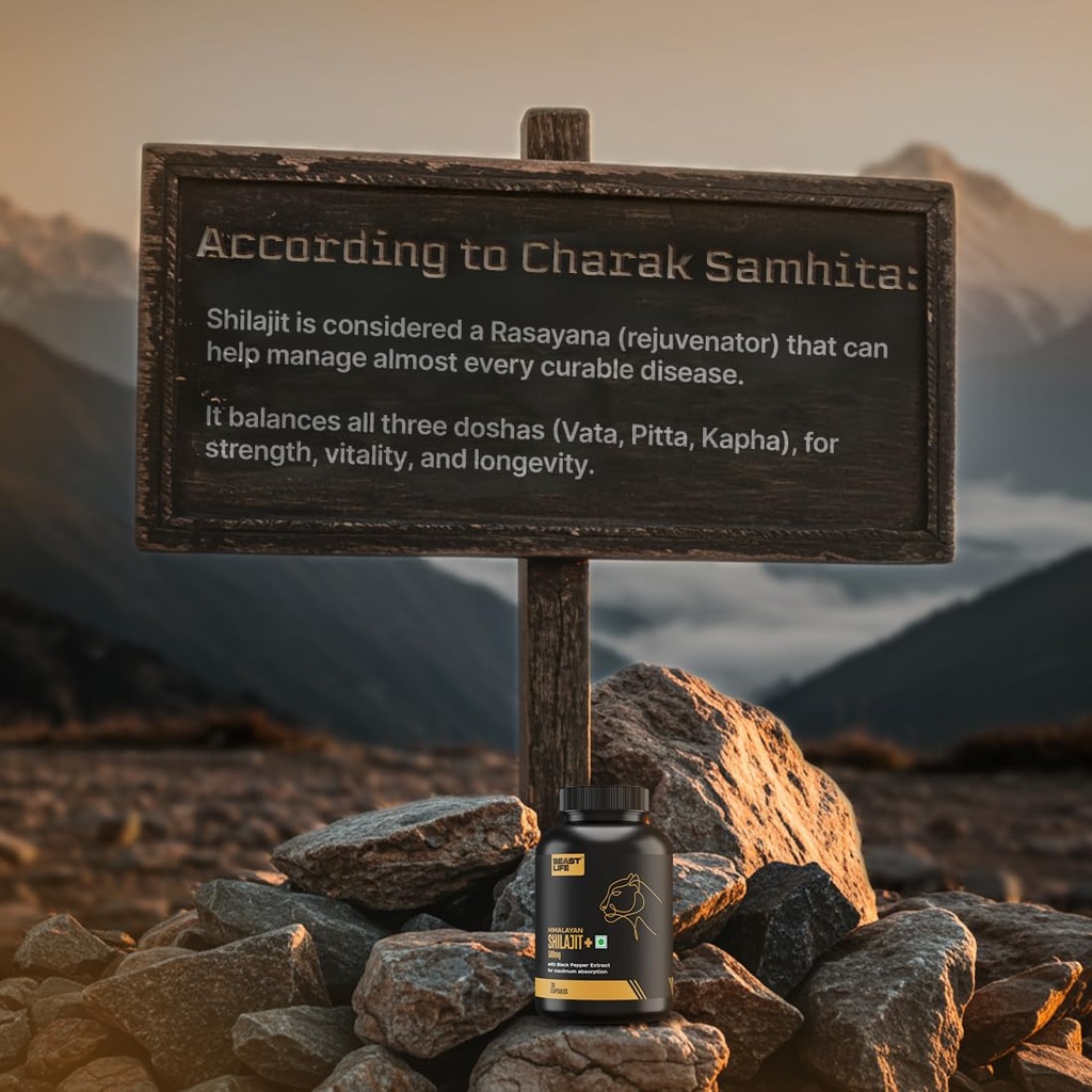 beastlife-himalayan-shilajit-pure-potent-61Hnwo-KehL.jpg