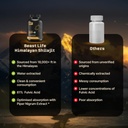beastlife-himalayan-shilajit-pure-potent-61Af4N7npoL.jpg