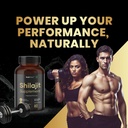 shilajit-shilajeet-capsules-for-stamina--61dNJxXTE0L.jpg