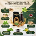 knoll-shilajit-malt-400g-ayurvedic-herba-814tlc7qA3L.jpg