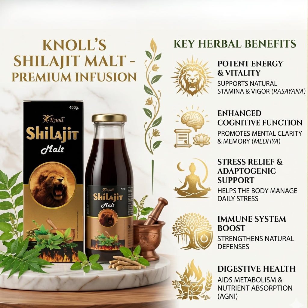 knoll-shilajit-malt-400g-ayurvedic-herba-81p7L2Y-yjL.jpg