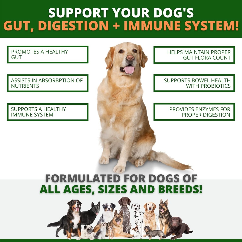 probiotics-for-dogs---digestive-health-g-2.jpg
