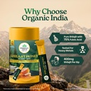 a-tata-product-organic-india-shilajit-ho-81KCe5cfzML.jpg