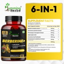 humming-herbs-berberine-1200mg-with-chro-81D1jWGWOoL.jpg
