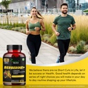 humming-herbs-berberine-1200mg-with-chro-81NKdp8Ga+L.jpg