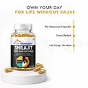 dr-morepen-shilajit-capsules-pure-himala-713-VqM5wlL.jpg