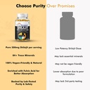 dr-morepen-shilajit-capsules-pure-himala-71-MlOtKY8L.jpg