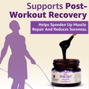 upakarma-shilajit-resin-with-ashwagandha-71tnch311BL.jpg