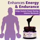 upakarma-shilajit-resin-with-ashwagandha-71vNTSq7EAL.jpg