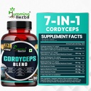 humming-herbs-cordyceps-sinensis-keeda-j-81LBWokpZ1L.jpg