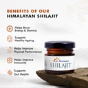 dr-morepen-shilajit-resin-100-pure-himal-71bfg+n9ZQL.jpg
