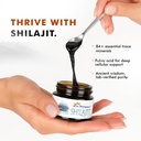 dr-morepen-shilajit-resin-100-pure-himal-71NSIKS4plL.jpg