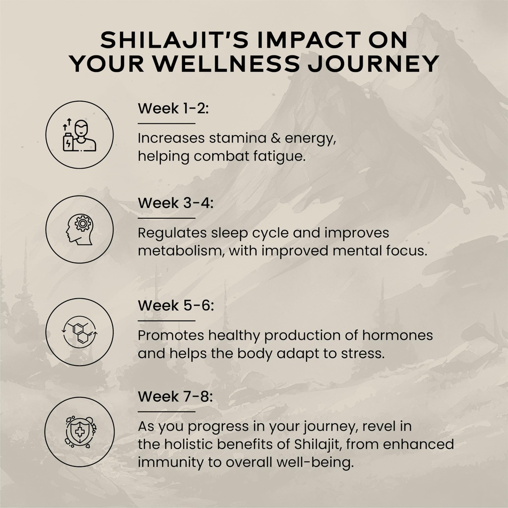 wellbeing-nutrition-himalayan-shilajit-o-81j1TcCOFQL.jpg