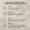 wellbeing-nutrition-himalayan-shilajit-o-81j1TcCOFQL.jpg