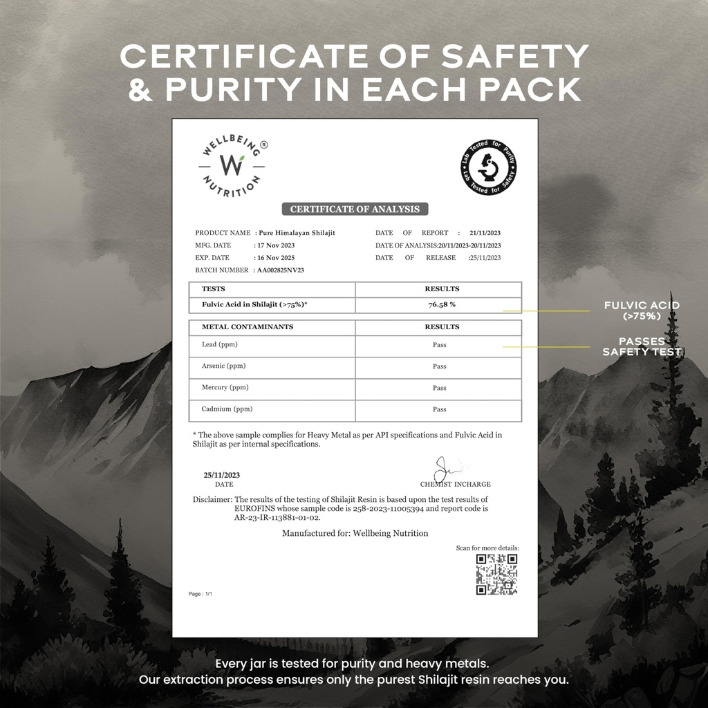 wellbeing-nutrition-himalayan-shilajit-o-81B+ENr6yFL.jpg