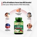 vlado-s-himalayan-organics-plant-based-v-61mXkJHqoLL.jpg