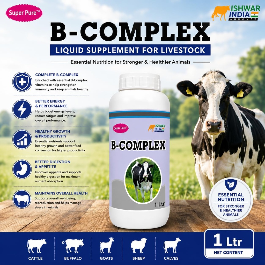 b-complex-vitamin-b-vitamin-b-tonic-for--71ci-opPqhL.jpg