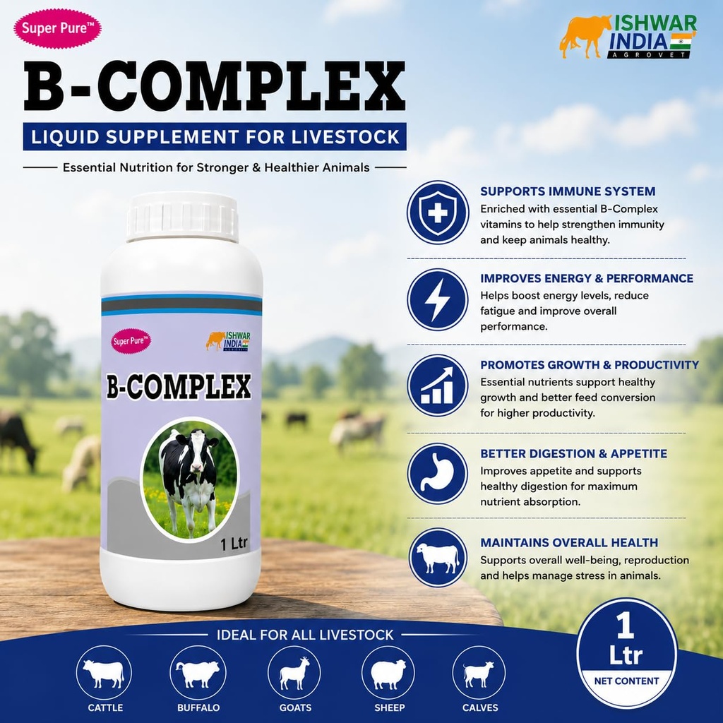b-complex-vitamin-b-vitamin-b-tonic-for--71YBPjN9SCL.jpg