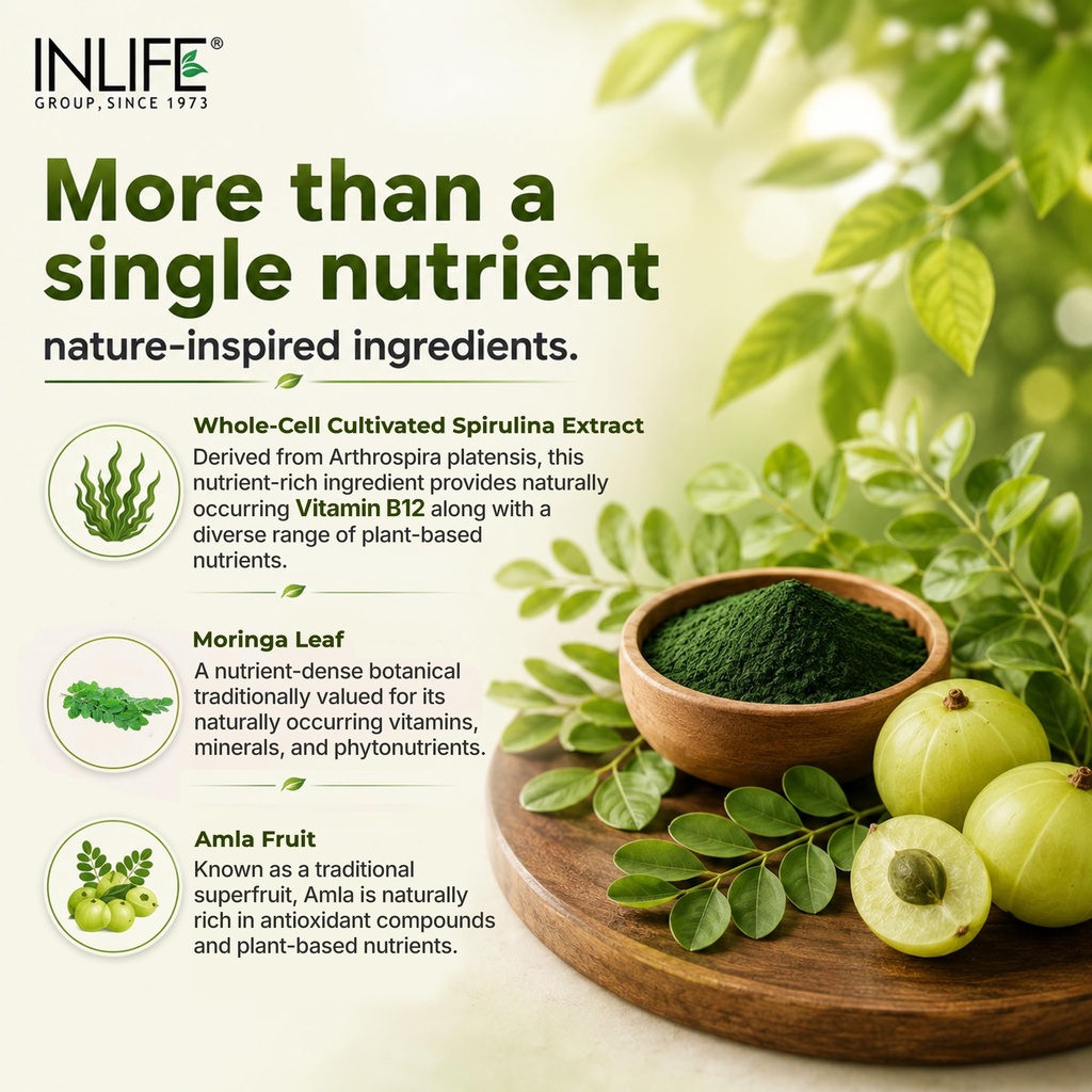 inlife-plant-based-vitamin-b12-supplemen-817j1cdStFL.jpg