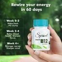 sprowt-plant-based-vitamin-b12-tablets-a-61ywr+Zn+3L.jpg