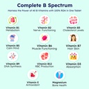vitamin-b-complex-100-rda-b1-b2-b3-b5-b6-71WAazeeYlL.jpg