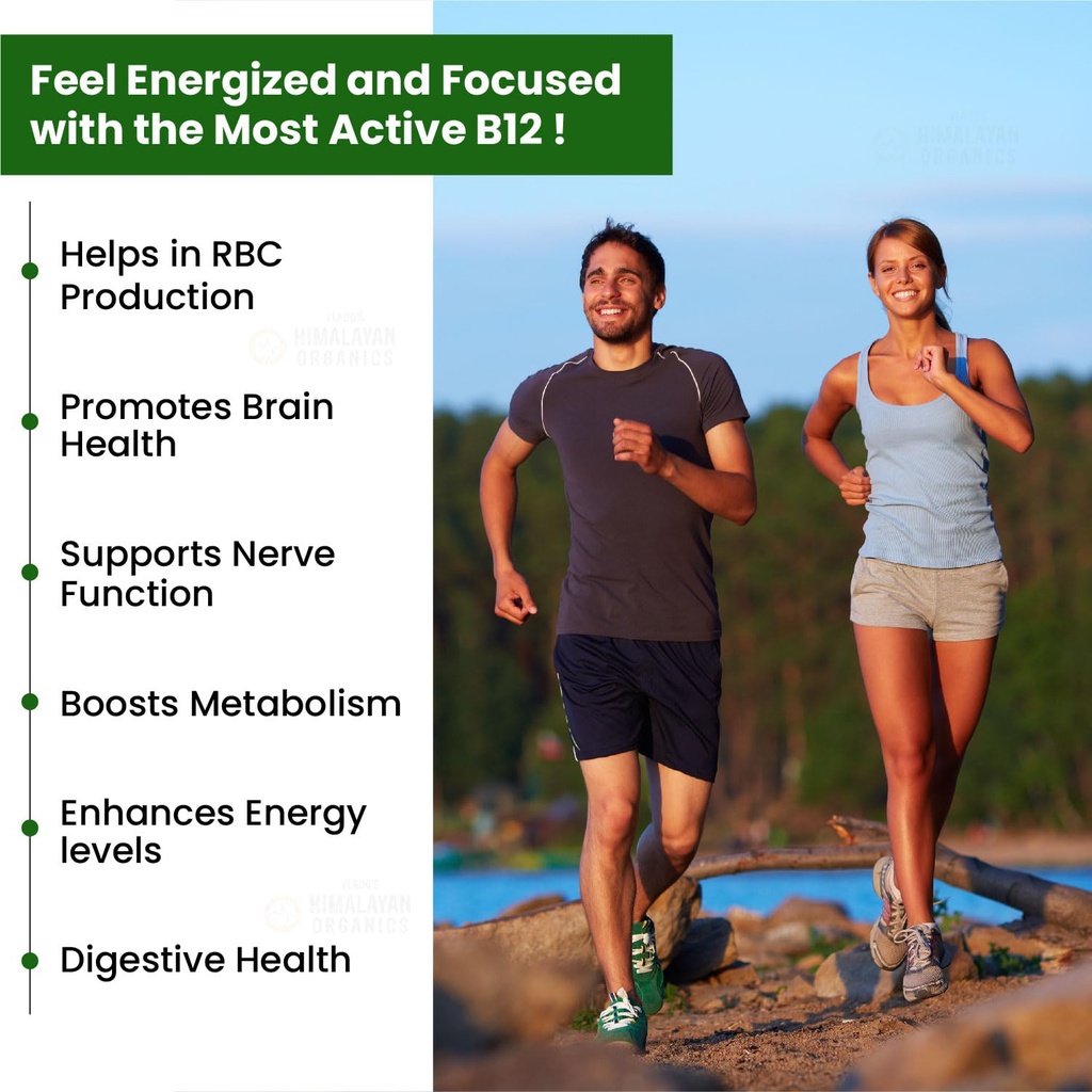 vlado-s-himalayan-organics-vitamin-b12-5-715bSwsJB9L.jpg