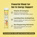 free-on-vitamin-b-complex-lactobacillus--617hr2sRReL.jpg