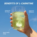 muscleblaze-l-carnitine-pro-2000mg-key-l-71e-2DAu8yL.jpg