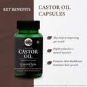 castor-oil-vegetarian-capsules-bc-caps-v-61txNCz8ENL.jpg