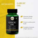 garlic-oil-vegetarian-capsules-bc-caps-v-61aTdTFsZwL.jpg