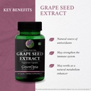 grape-seed-extract-60-vegetarian-capsule-61reQ13cZLL.jpg
