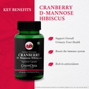 cranberry-d-mannose-hibiscus-capsules-br-61LBqx0yGoL.jpg