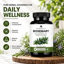 rosemary-leaf-extract-capsules-veg-capsu-71K3dqfv2fL.jpg