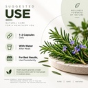 rosemary-leaf-extract-vegetarian-capsule-61dpa2C1WTL.jpg