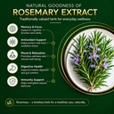 rosemary-leaf-extract-vegetarian-capsule-71ND7ceFLsL.jpg