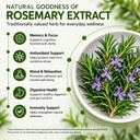 rosemary-extract-veg-capsules-daily-nutr-71qvDnTVtYL.jpg